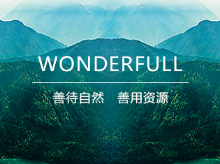商贸公司网站